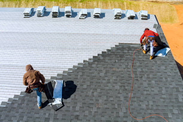 Best Roof Gutter Cleaning  in Huntland, TN